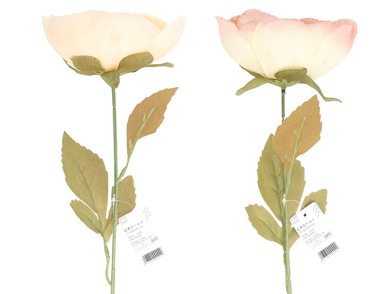 Peony (Long, Pale Grayish)
