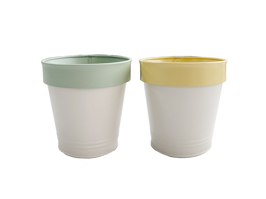 Bottom Watering Pot (Color)