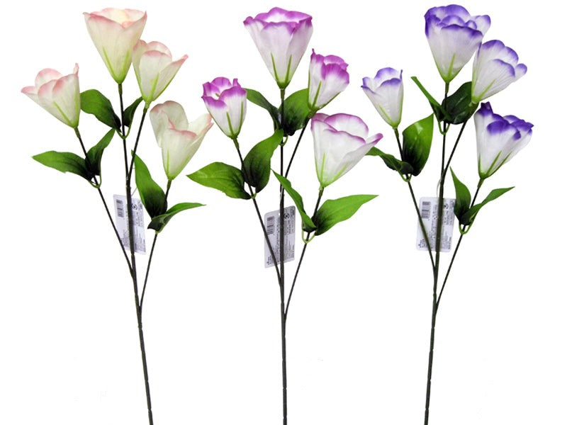 Lisianthus