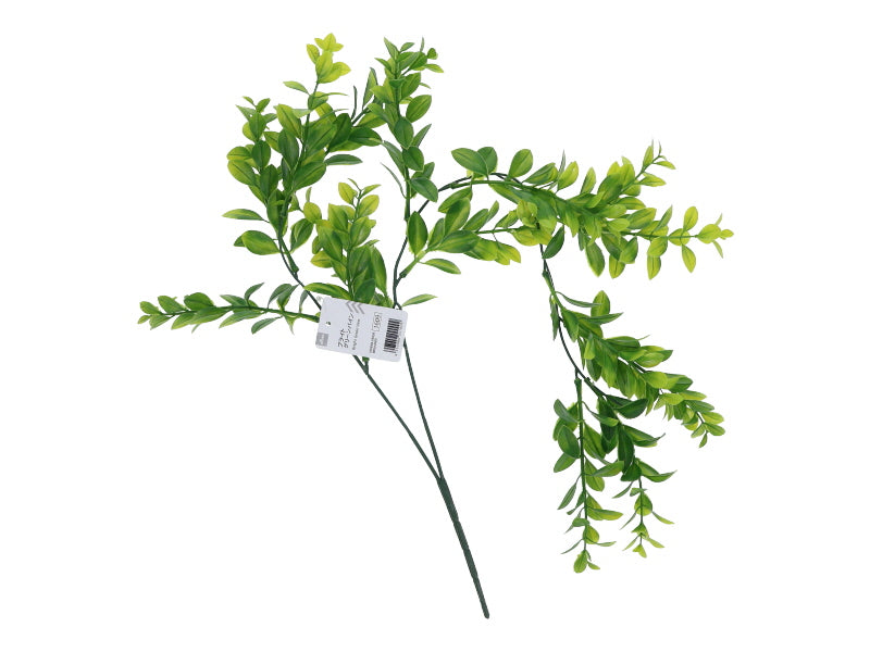Bright Green Vine