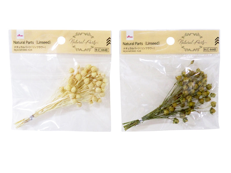 Natural Parts (Lind Flower)