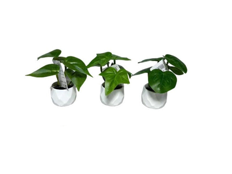 Green Pot
