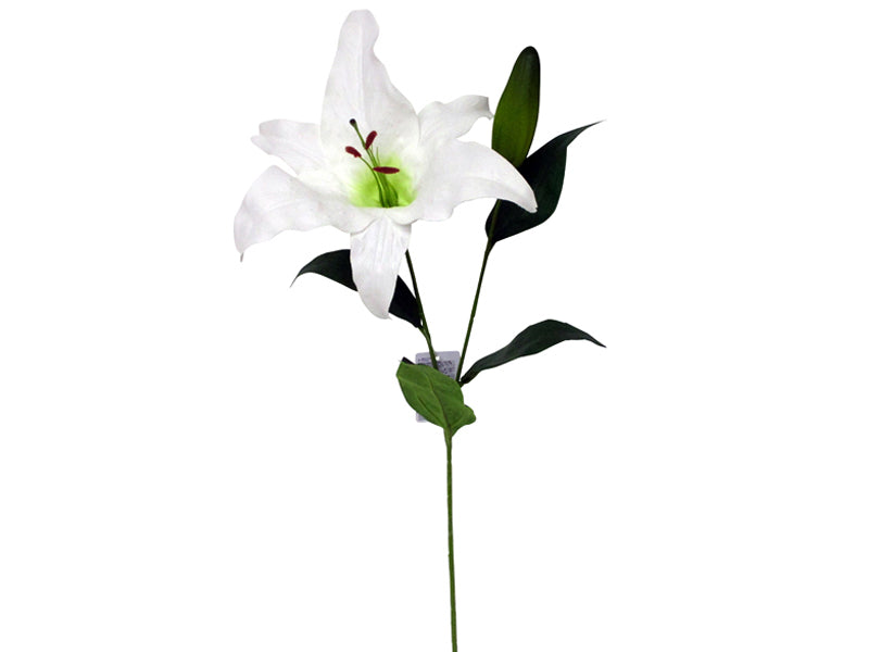 Lily