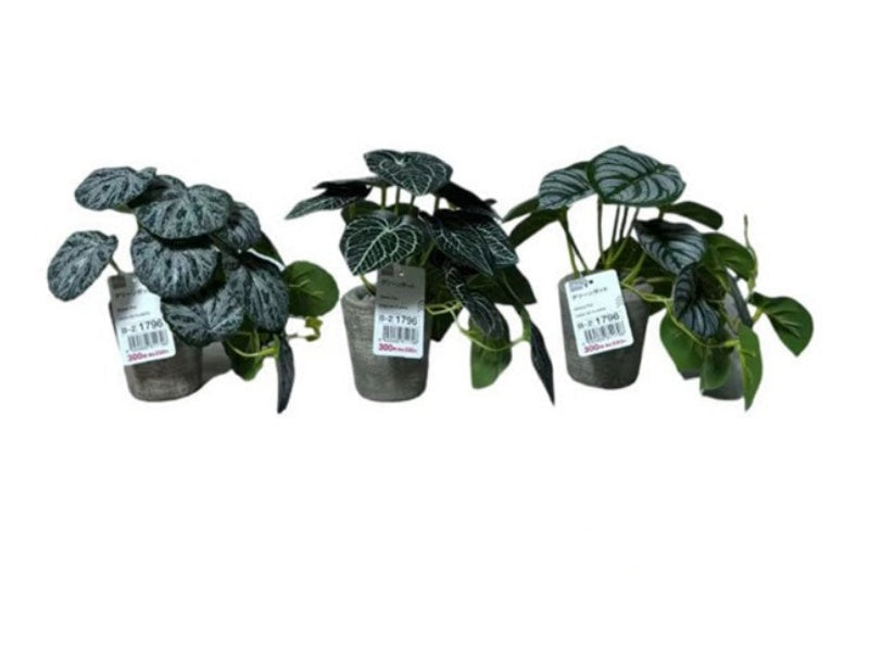 Green Pot