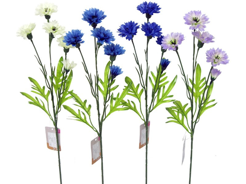 Yagurumasou (Cornflower)
