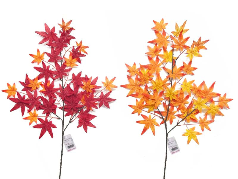 Maple (Noble)