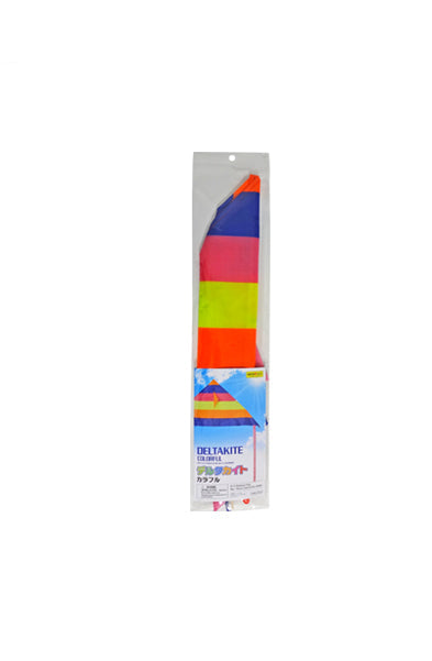Colorful Delta Kite