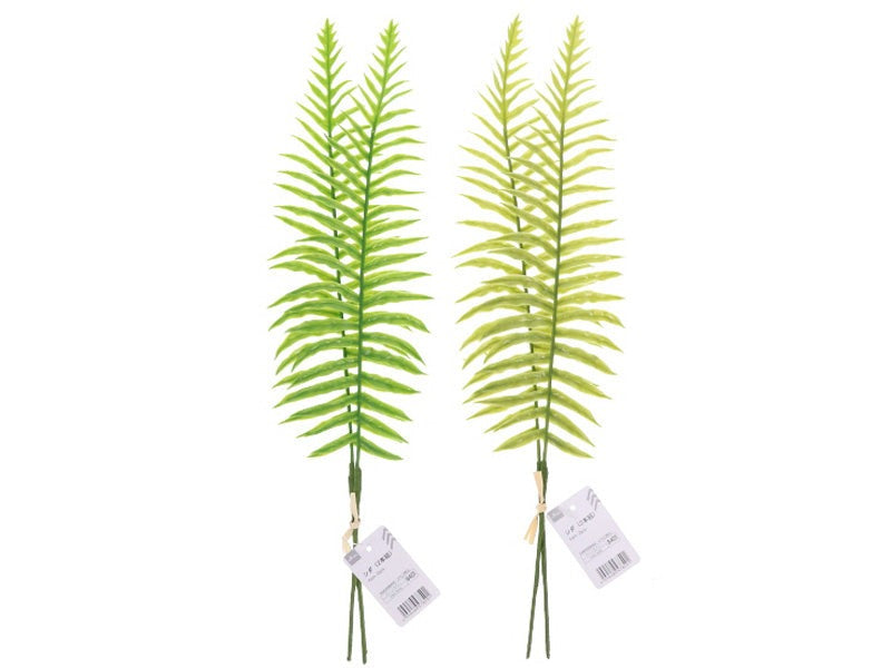 Ferns (Set of 2)