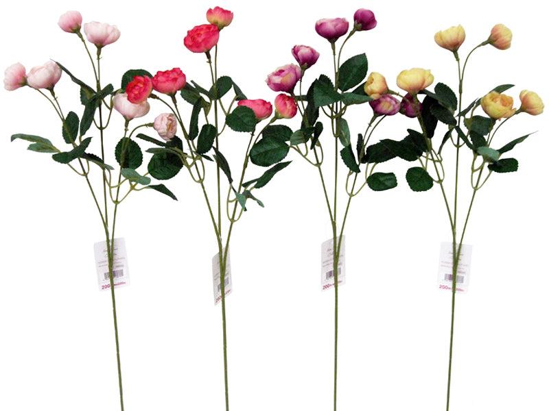 Micro Rose Spray (Tierra)