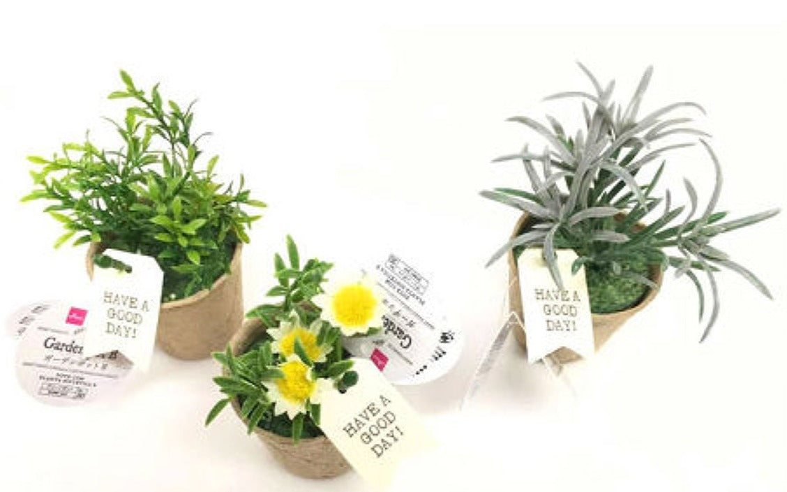 Garden Pot B