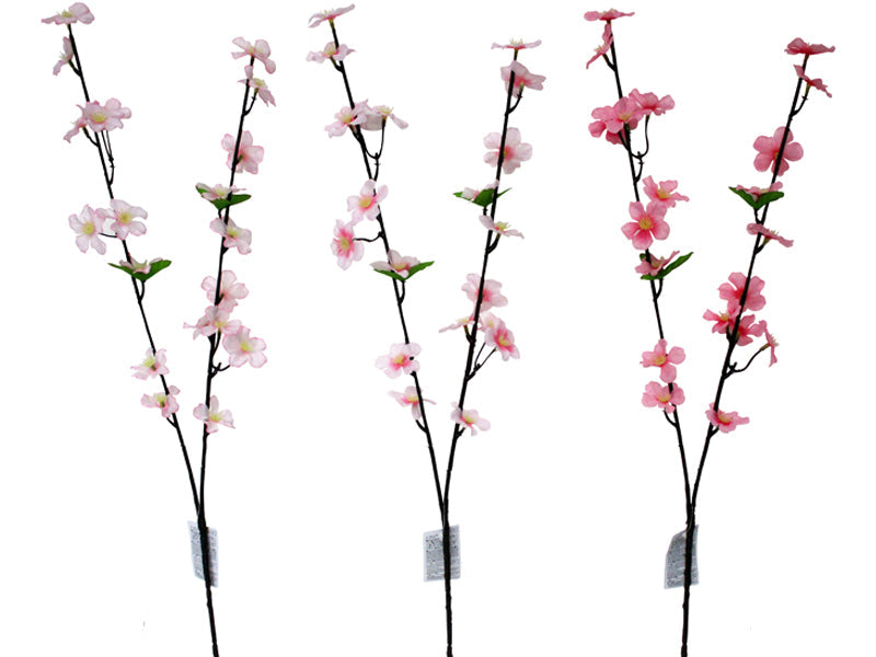 Cherry Blossom (Somei Yoshino)