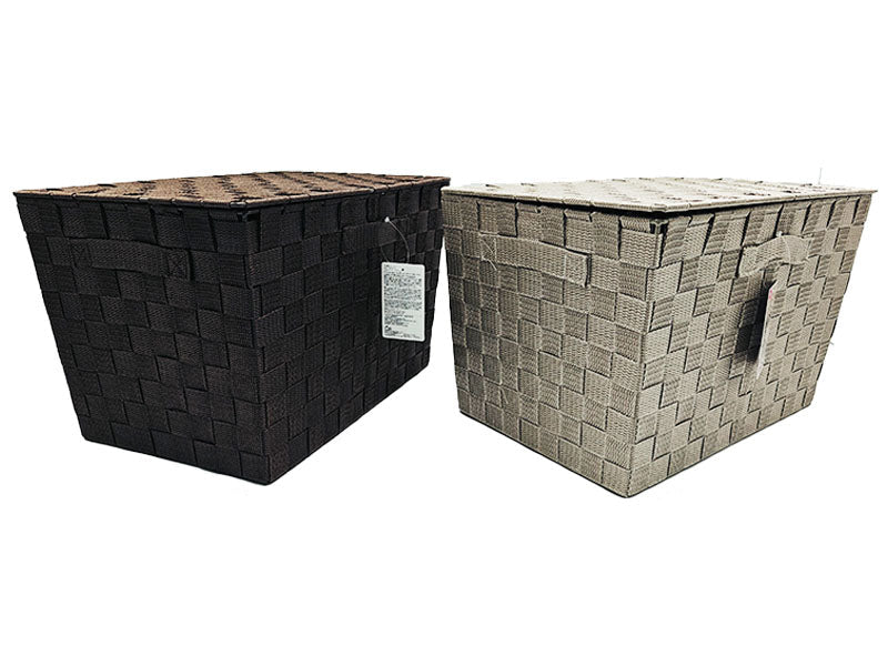 PP Storage Basket (Color Box Size, Lid, Beige & Brown)