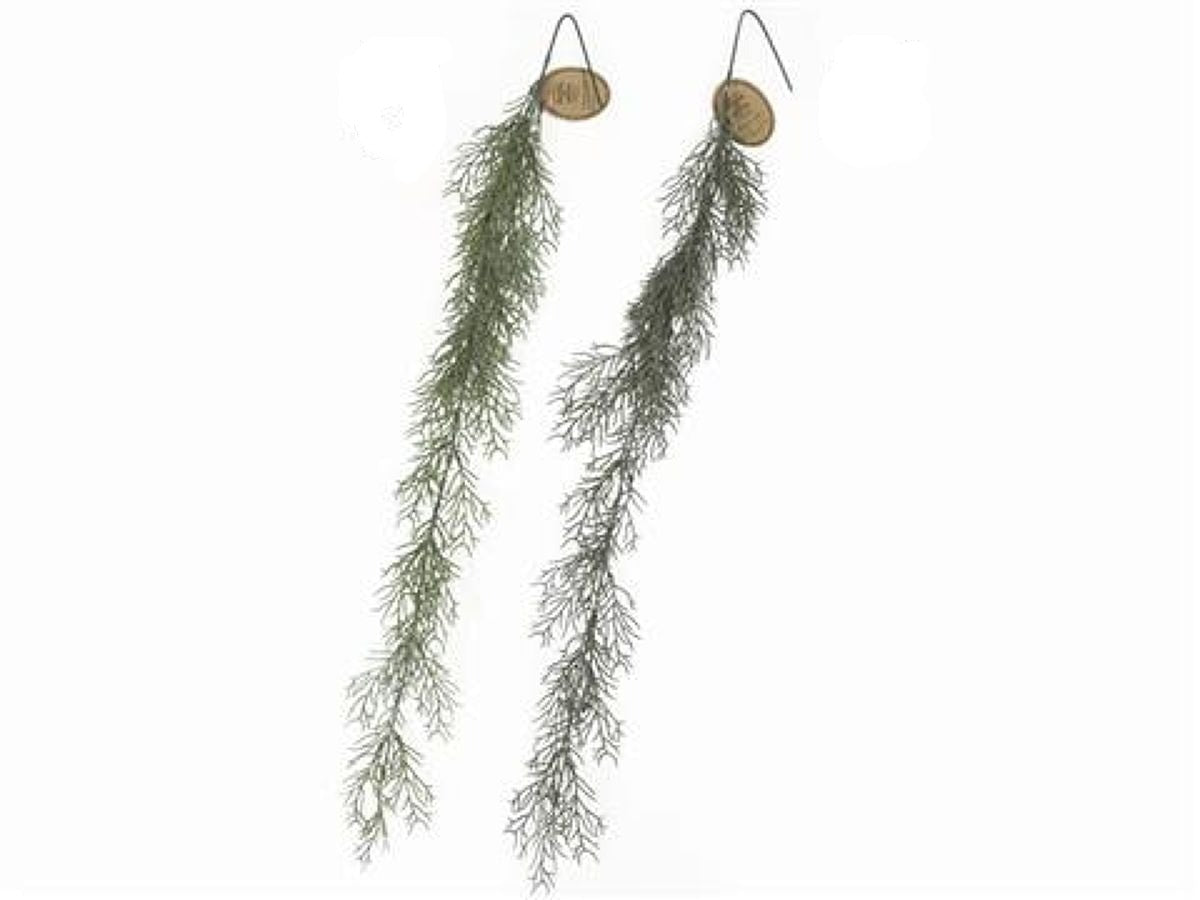 Spanish Moss