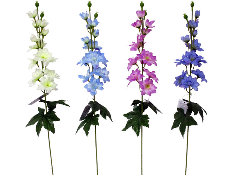 Delphinium