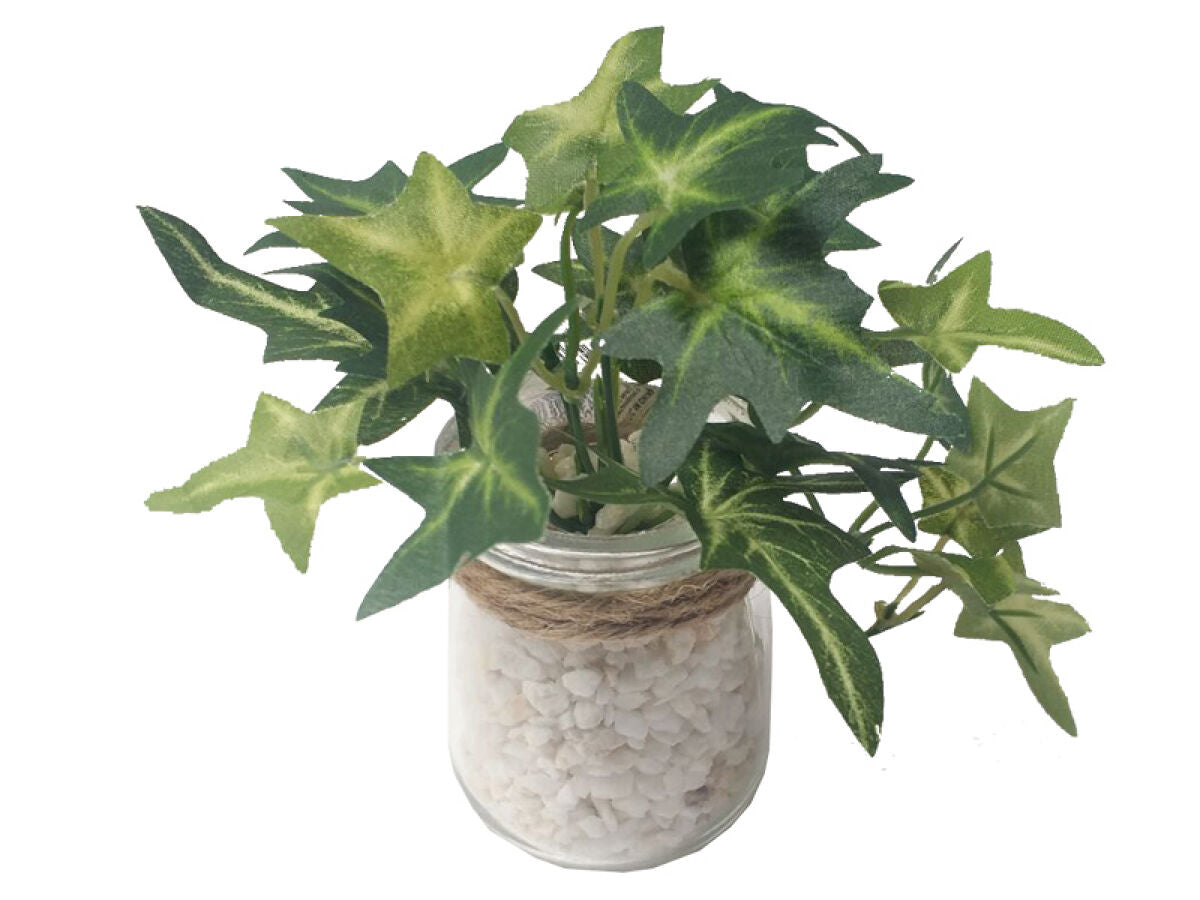 Green Pot