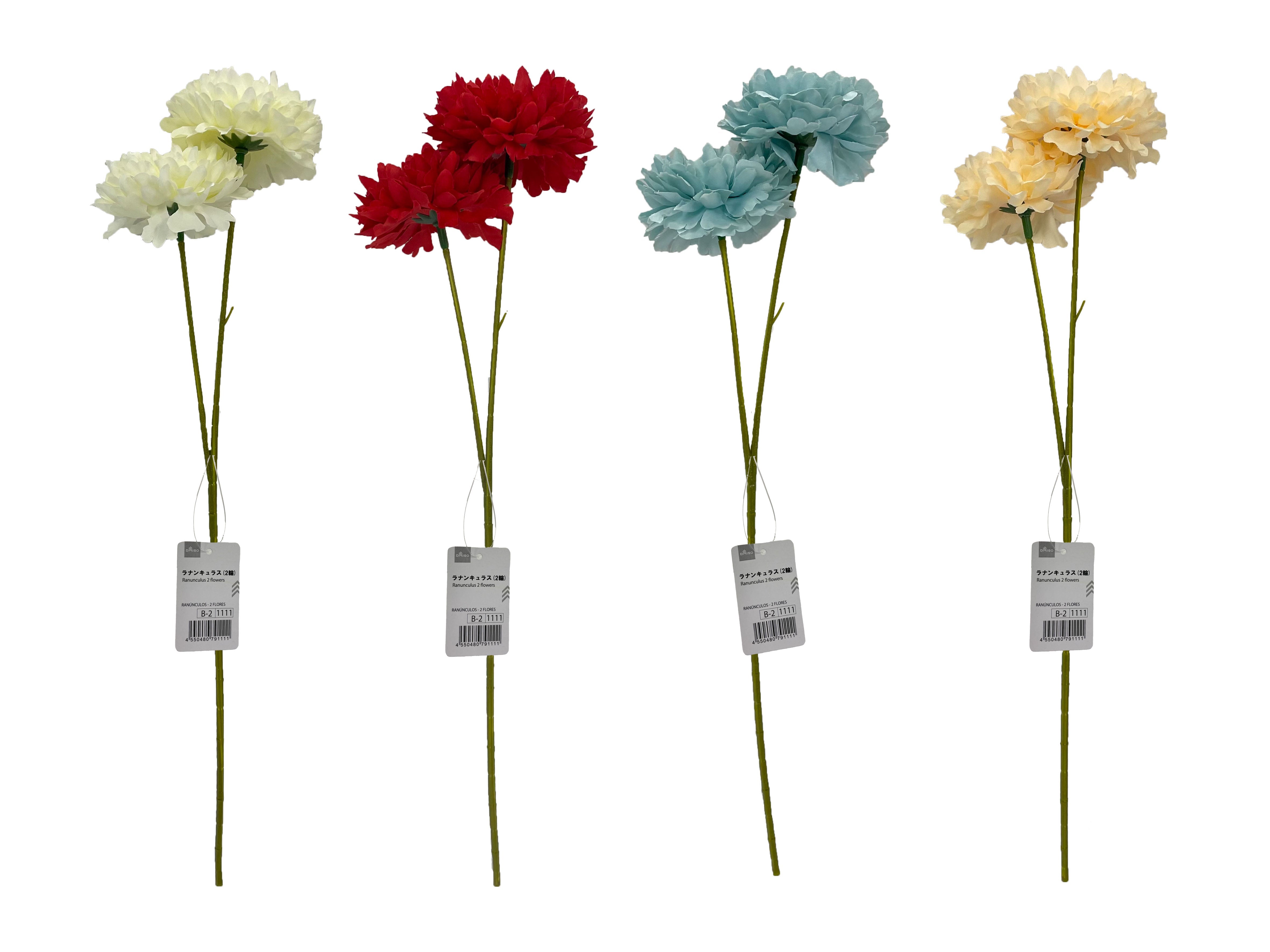 Ranunculus (2 Stems)