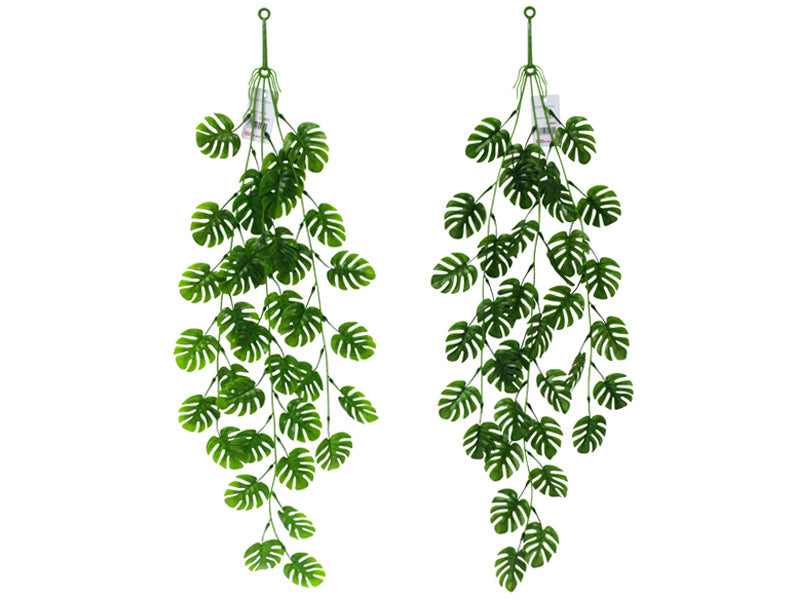 Monstera Leaf Vine