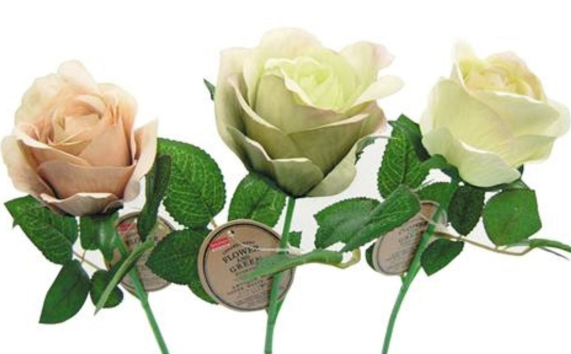 Antique Style Rose - Green, White, Brown
