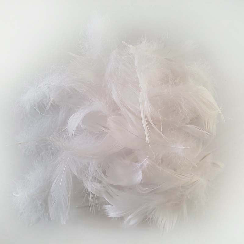 Angel Wings (White)