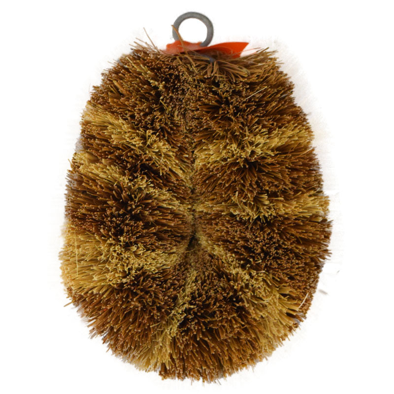 Natural Material Scrub Brush (With Band)