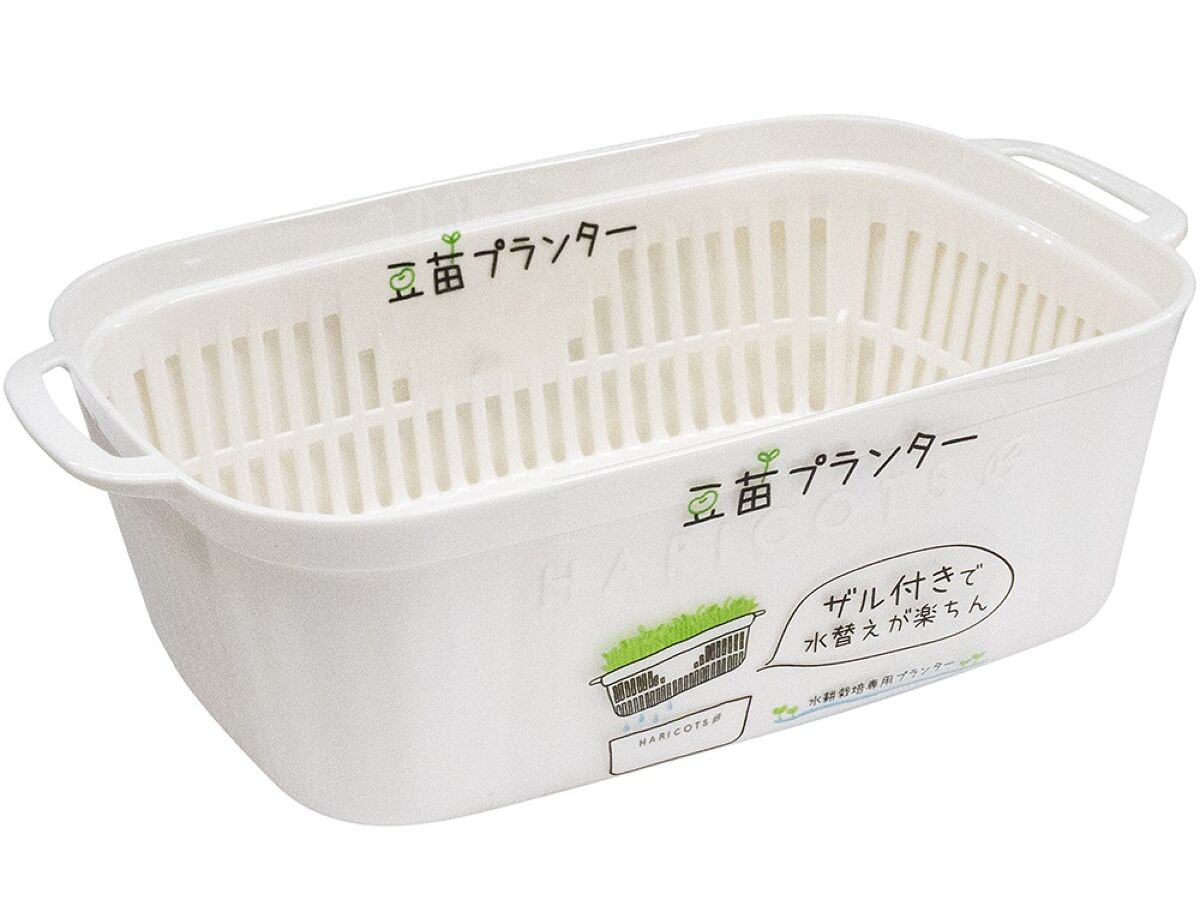Bean Sprout Planter - White