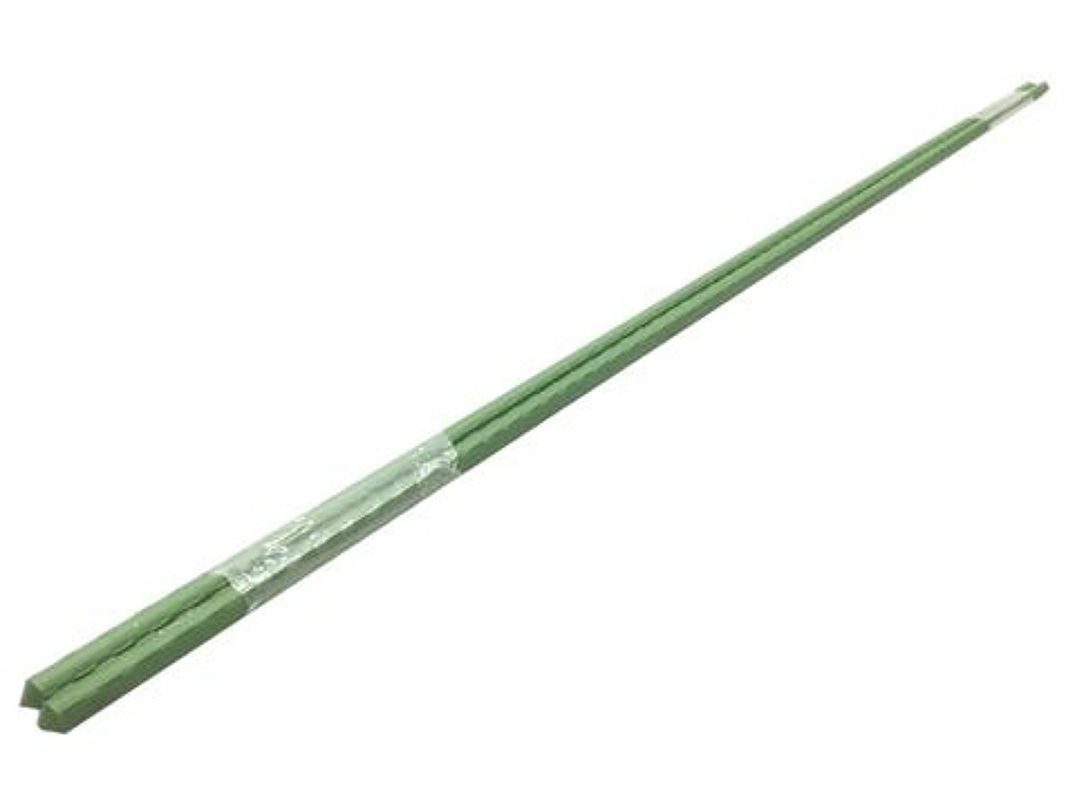 Gardening Stakes, 2 Pieces
