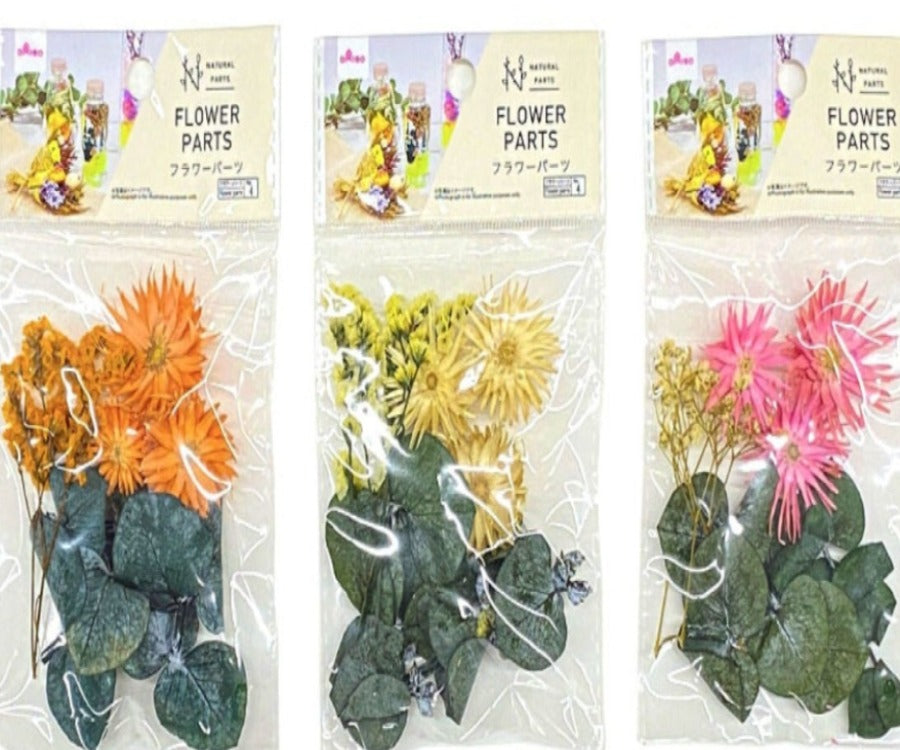Natural Parts (Flower Parts, C)
