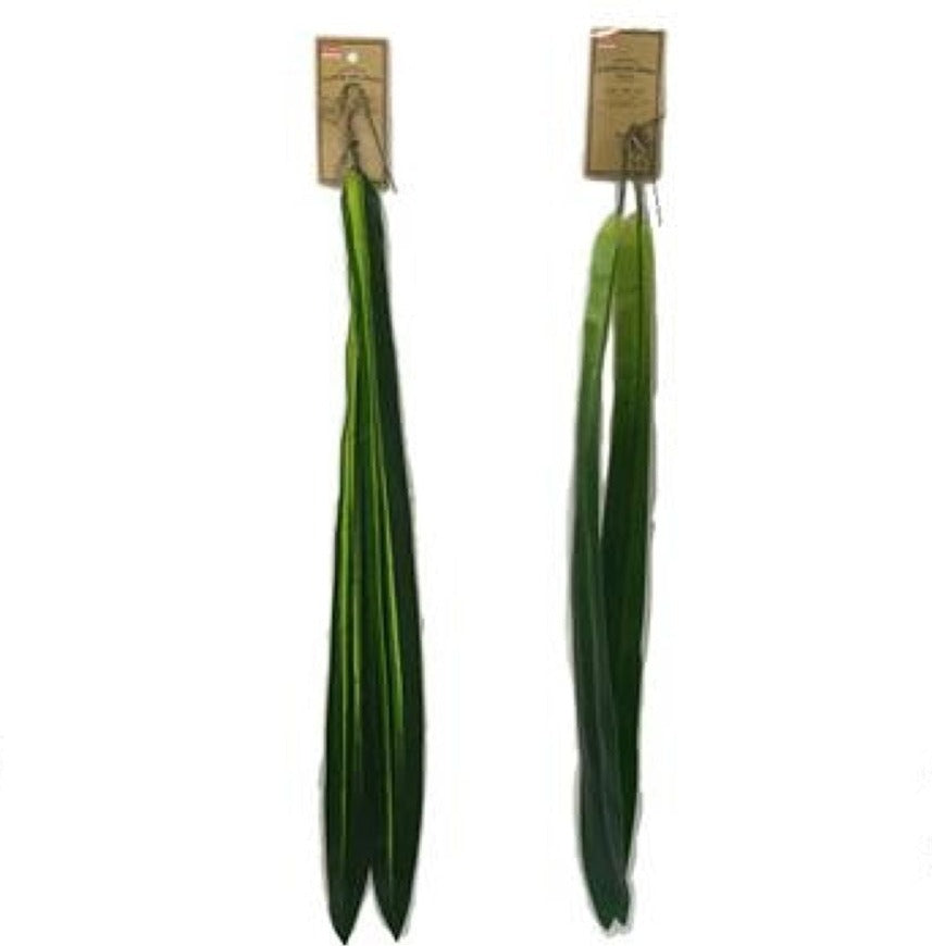 Long Leaf (Set of 2)