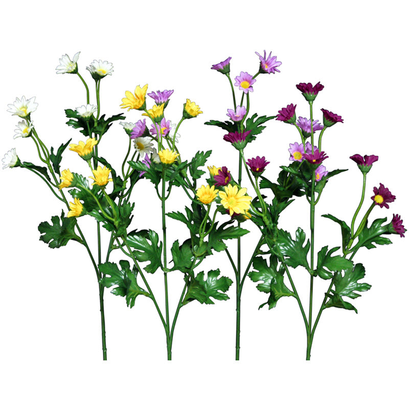 Yamato Small Chrysanthemum