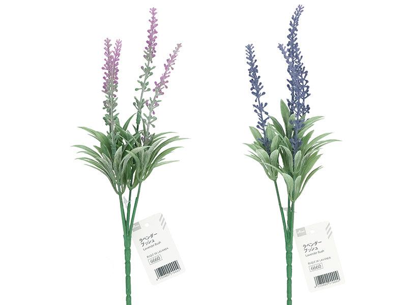 Lavender Bush