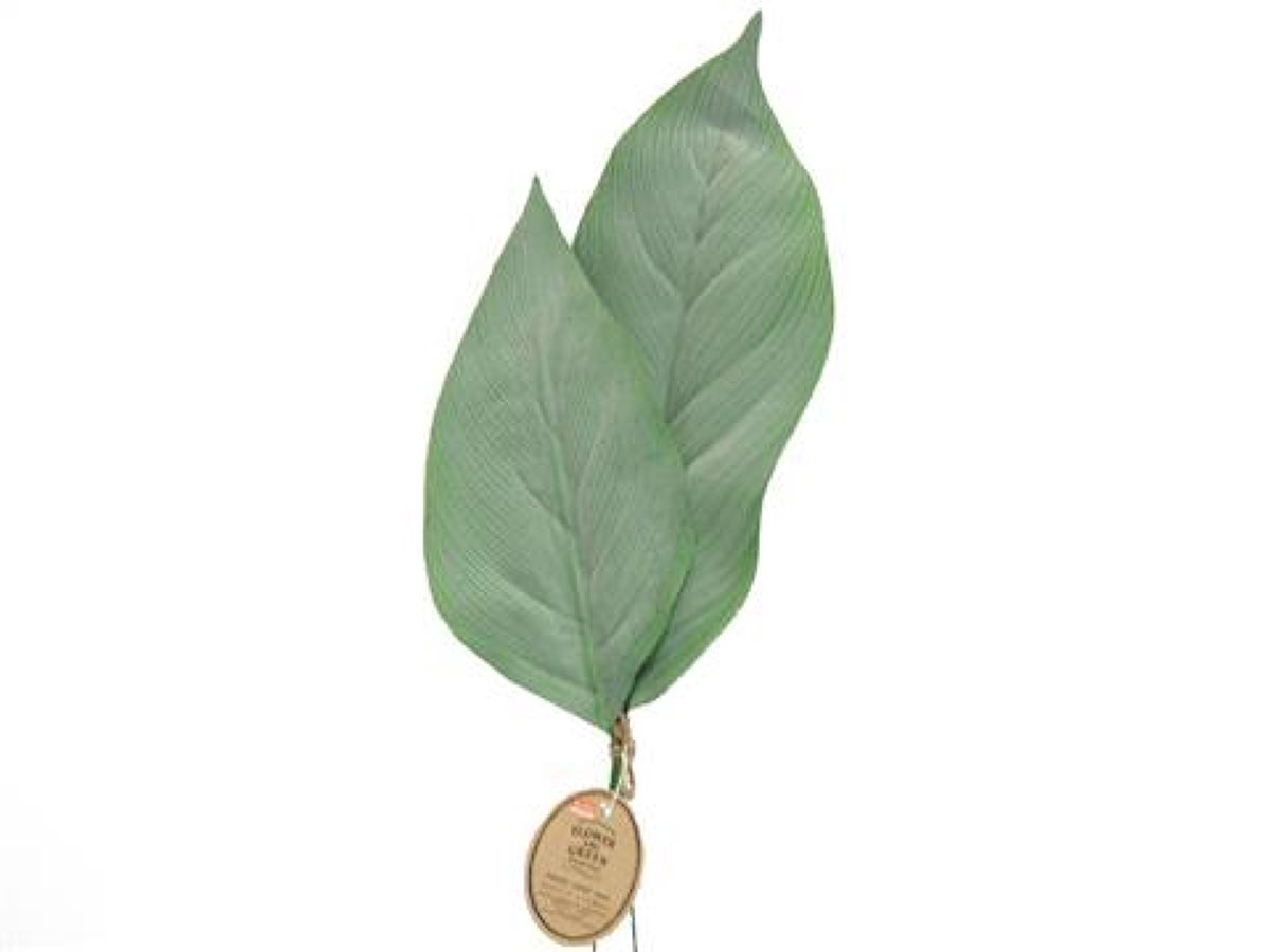 Frost Leaf (Large & Small Set)