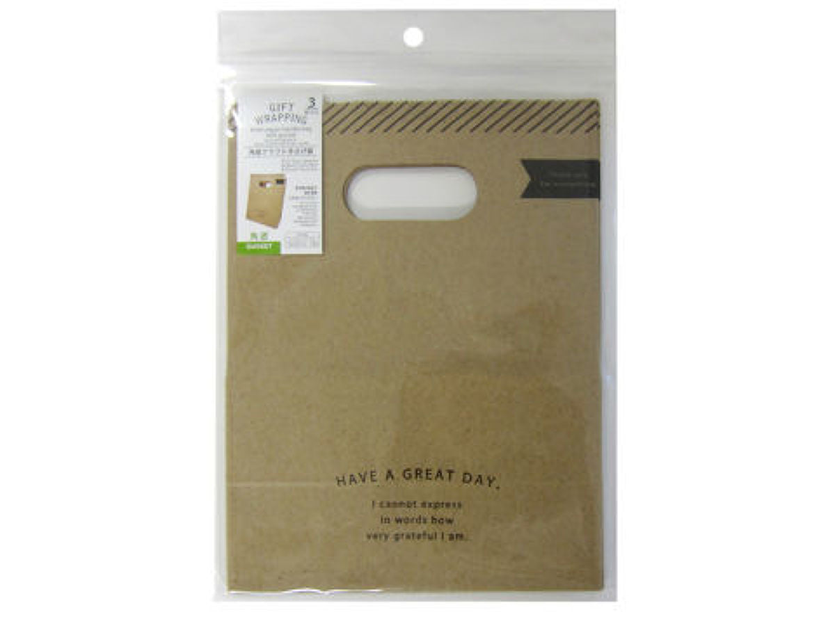 Square Bottom Craft Handle Bag (3 Pieces)