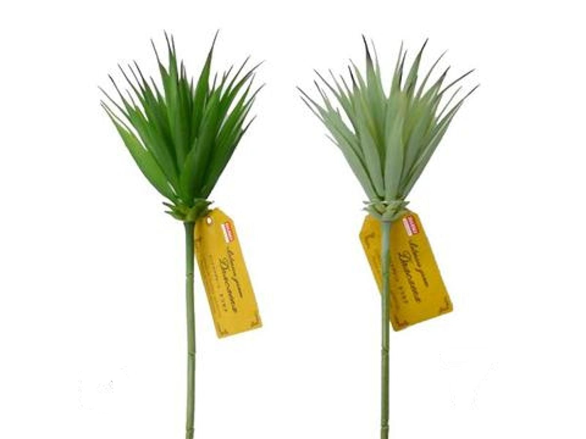 Short Green Dracaena