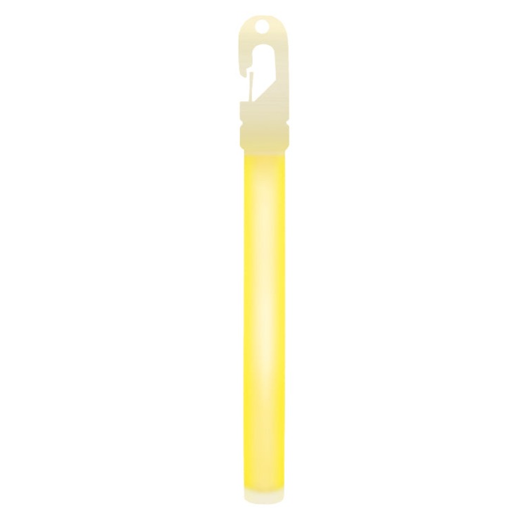 Disaster Preparedness Light (24 Hours)