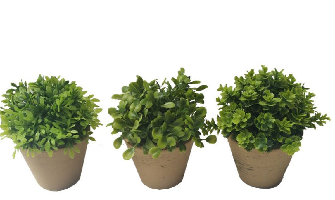 Green Pot