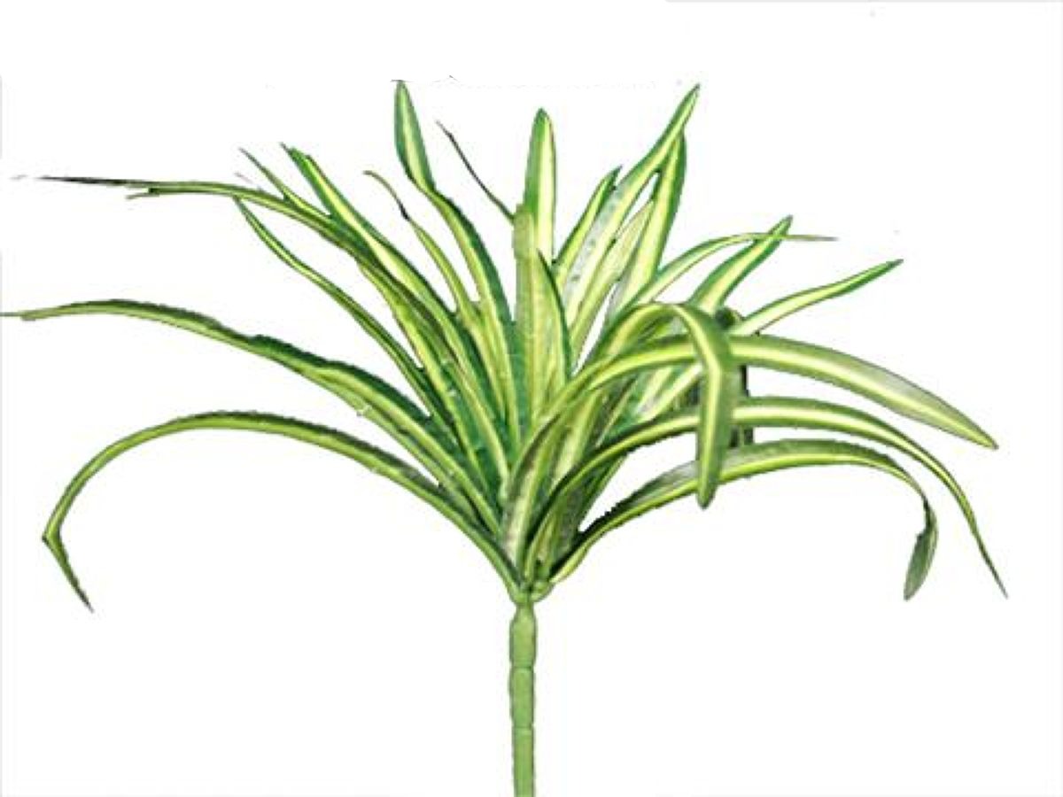 Orizuru Run Bush