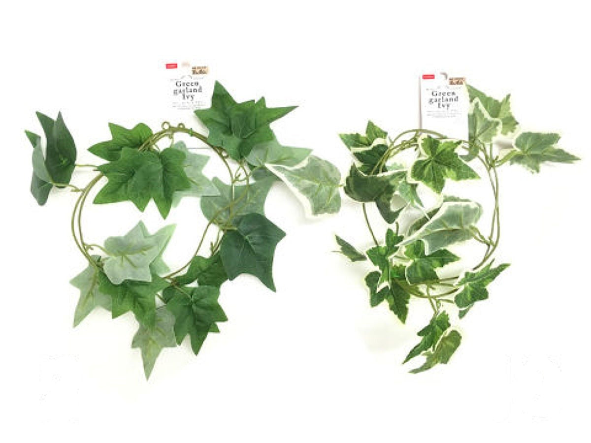 Green Garland (Ivy)