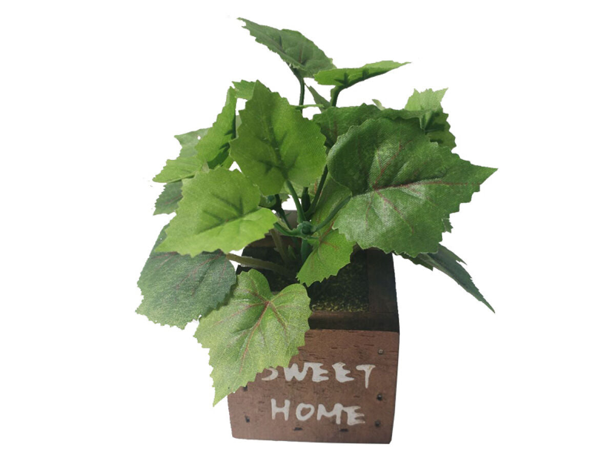 Green Pot (Wood Case)