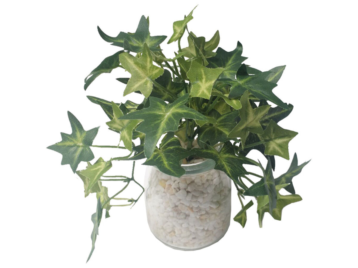 Green Pot