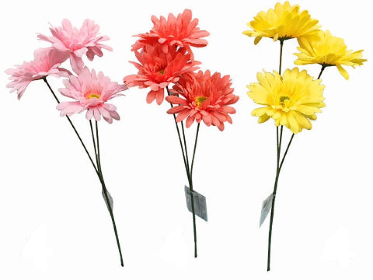 Gerbera 3 Stems (Coral, Pink, Yellow)