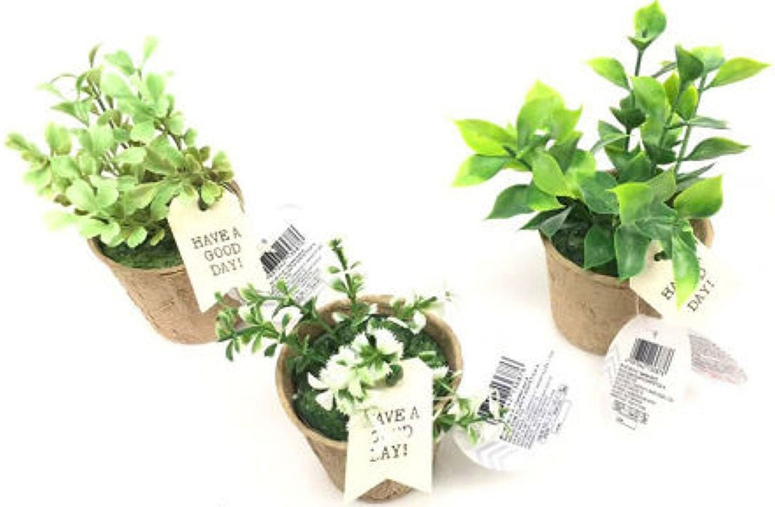 Garden Pot A