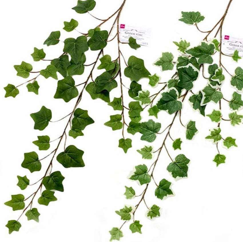 Green Vine