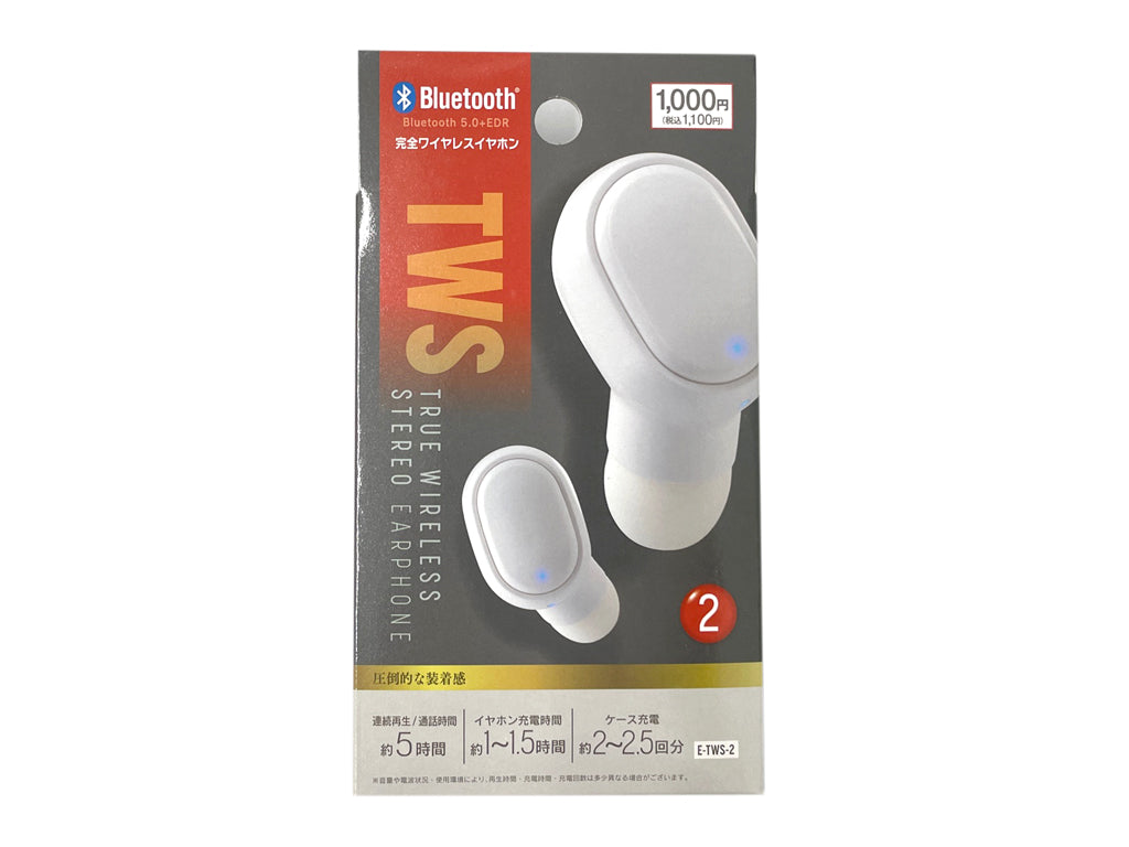 True Wireless Earphones 2