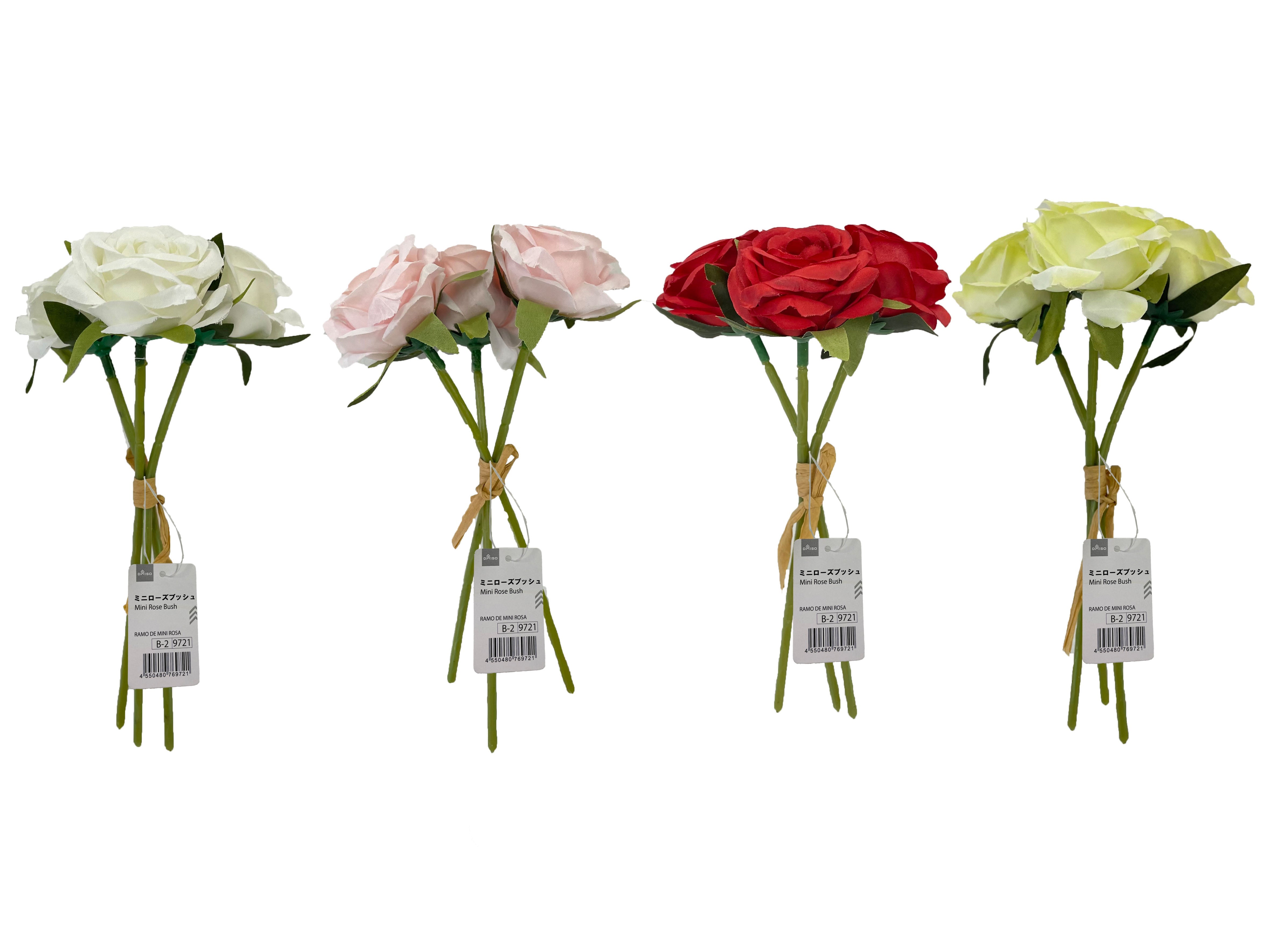 Mini Rose Bush