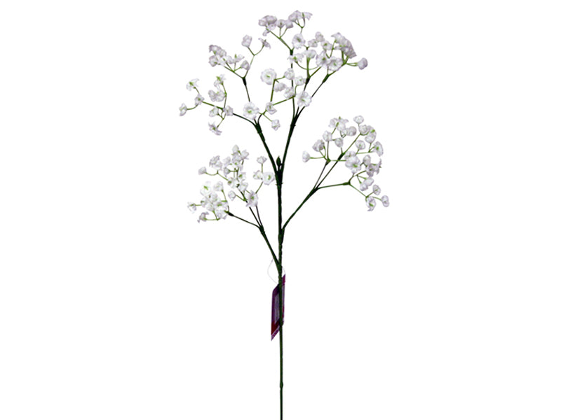 Baby's Breath