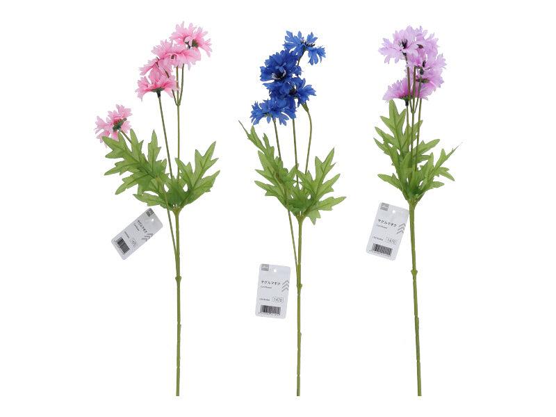Cornflower
