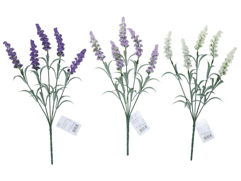 Lavender Bush