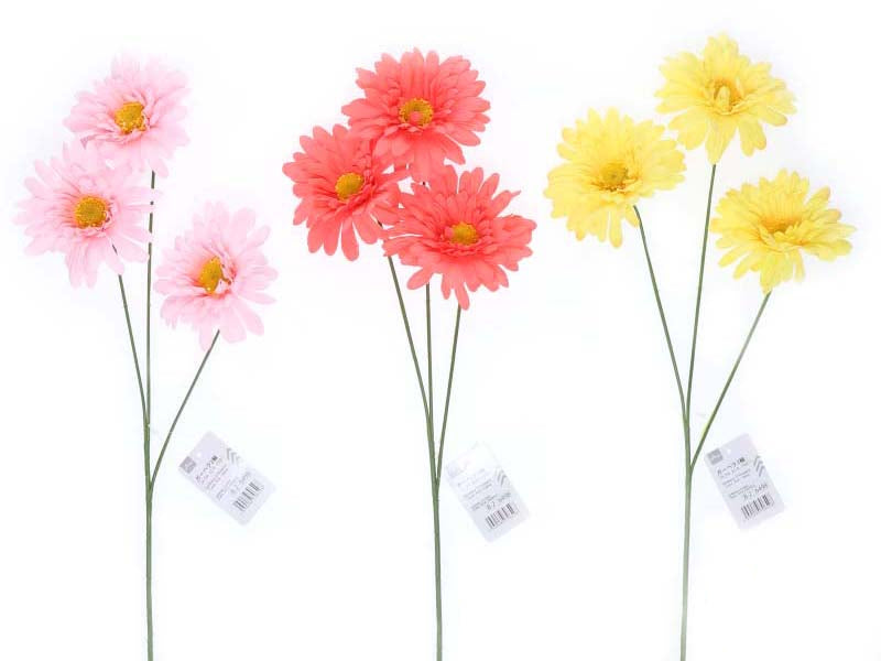 Gerbera (3 Flowers, Coral, Pink, Yellow)