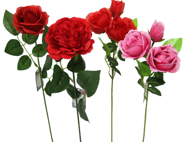Rose Assortment (Basic R)