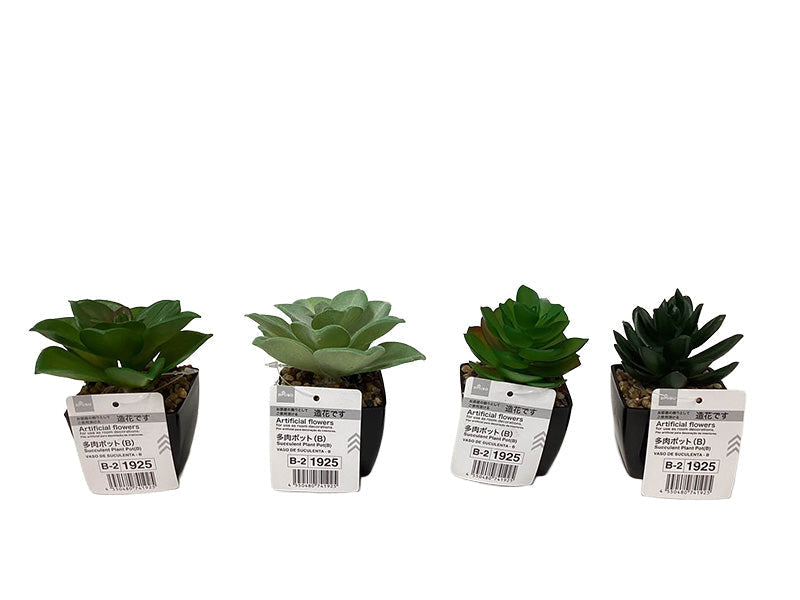 Succulent Pot (B)